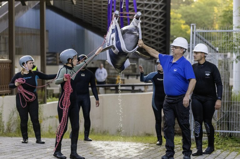 A list of the whales and dolphin that died after being moved out of Marineland | iNFOnews.ca