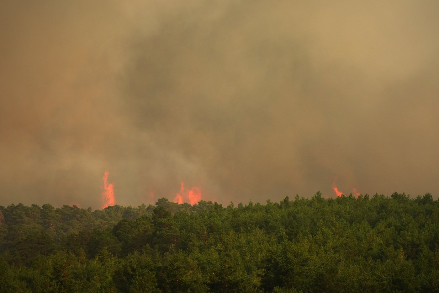 Firefighters battle one of Spain's biggest-ever wildfires during heat wave across the Mediterranean | iNFOnews.ca Firefighters battle one of Spain's biggest-ever wildfires during heat wave across the Mediterranean | iNFOnews.ca