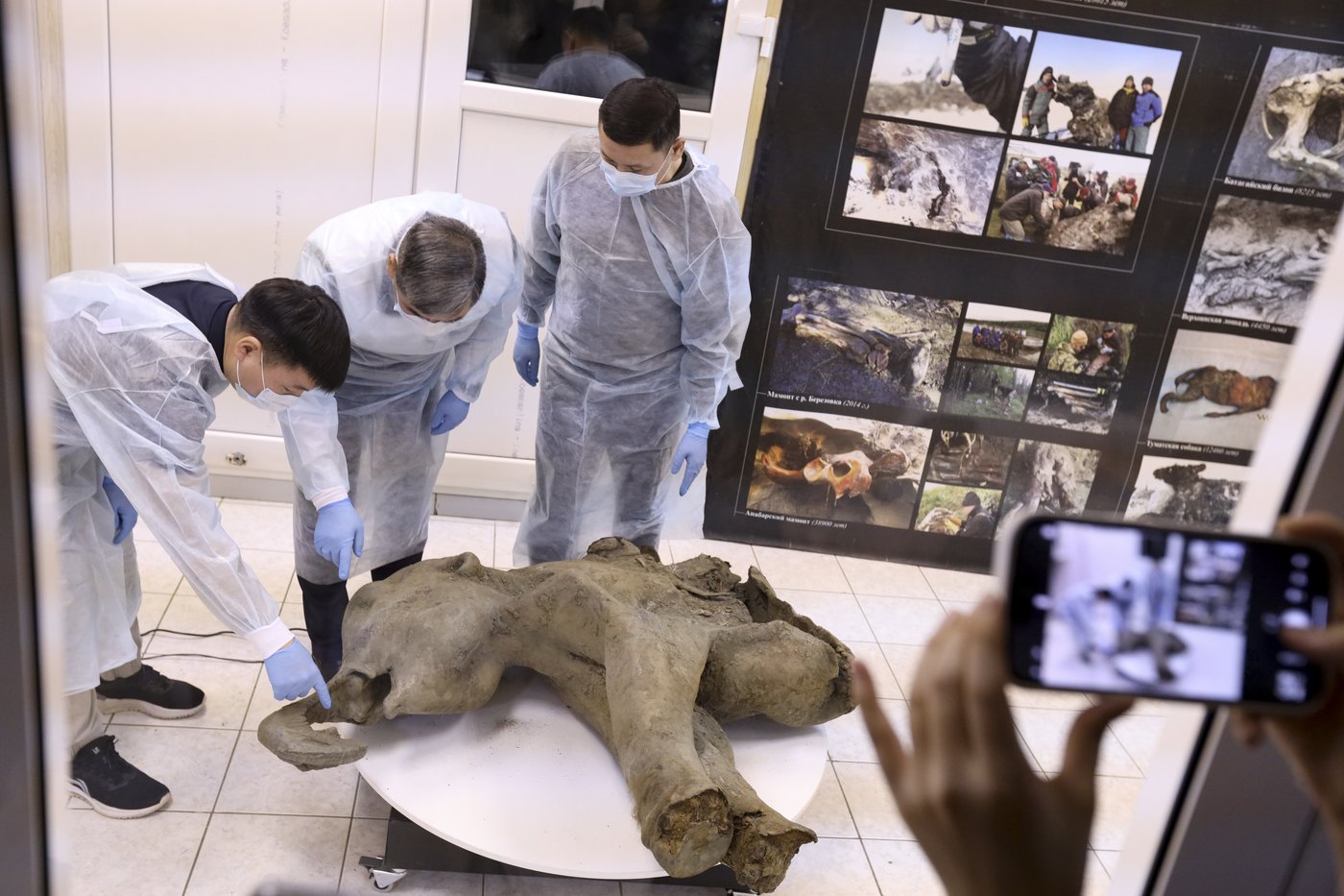 Baby mammoth preserved for 50,000 years is unveiled in Russia's Siberia | iNFOnews.ca