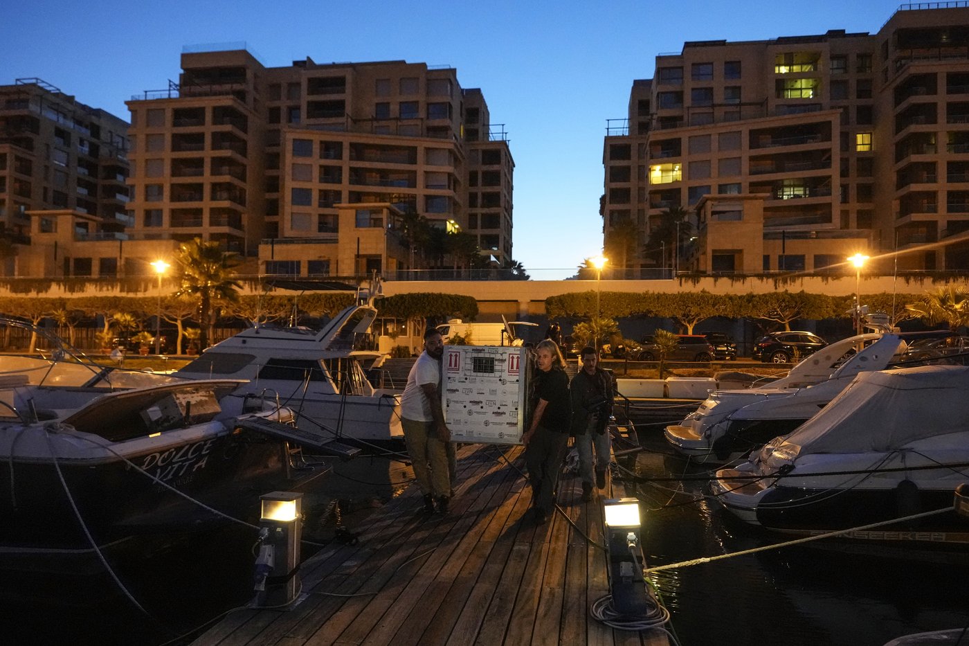 A lion cub evacuated from Lebanon to a South African sanctuary escapes airstrikes and abuse | iNFOnews.ca A lion cub evacuated from Lebanon to a South African sanctuary escapes airstrikes and abuse | iNFOnews.ca