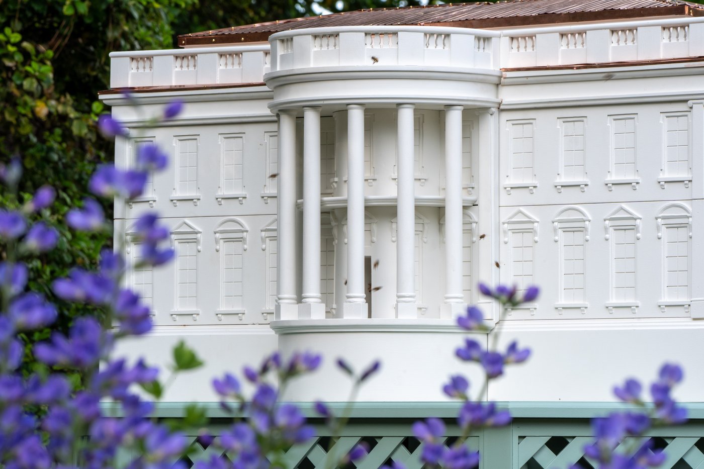 What's all the buzz about? Melania Trump is growing the White House honey program with a new beehive | iNFOnews.ca What's all the buzz about? Melania Trump is growing the White House honey program with a new beehive | iNFOnews.ca