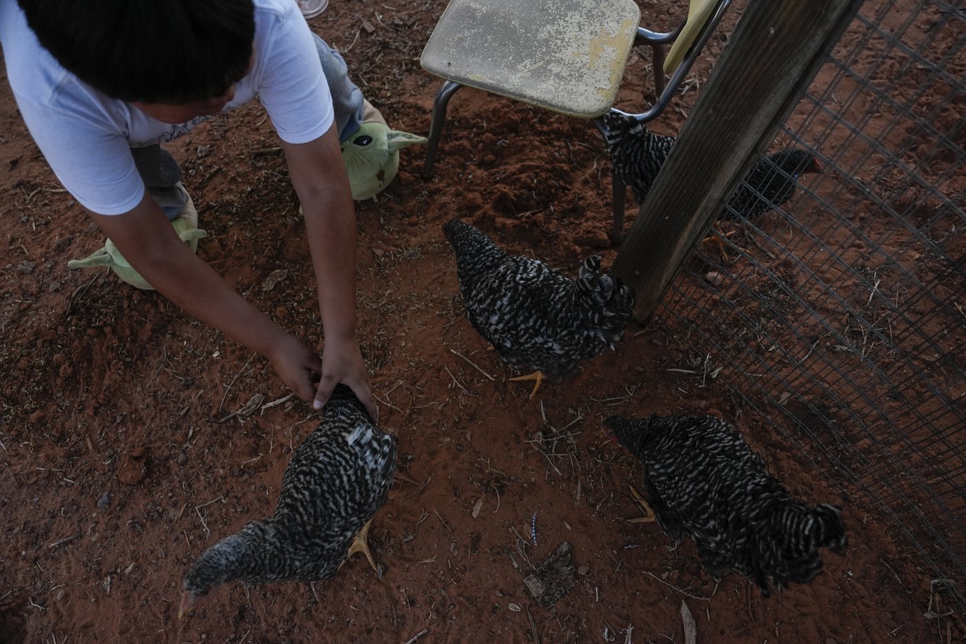 On Navajo Nation, a push to electrify more homes on the vast reservation | iNFOnews.ca