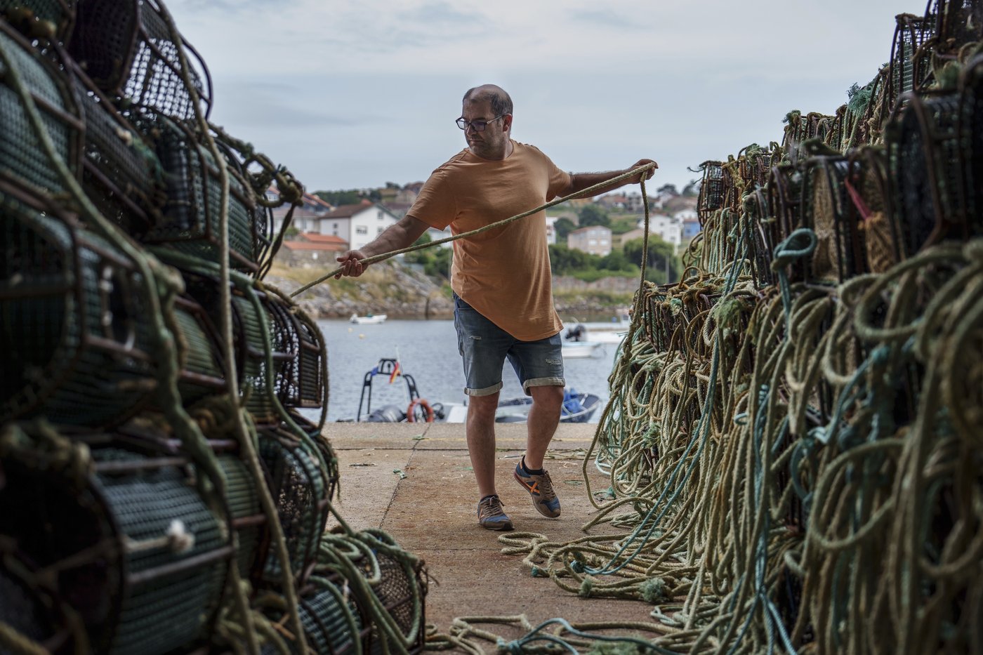 As octopuses dwindle in Spanish waters, suppliers look to imports and farming despite concerns | iNFOnews.ca