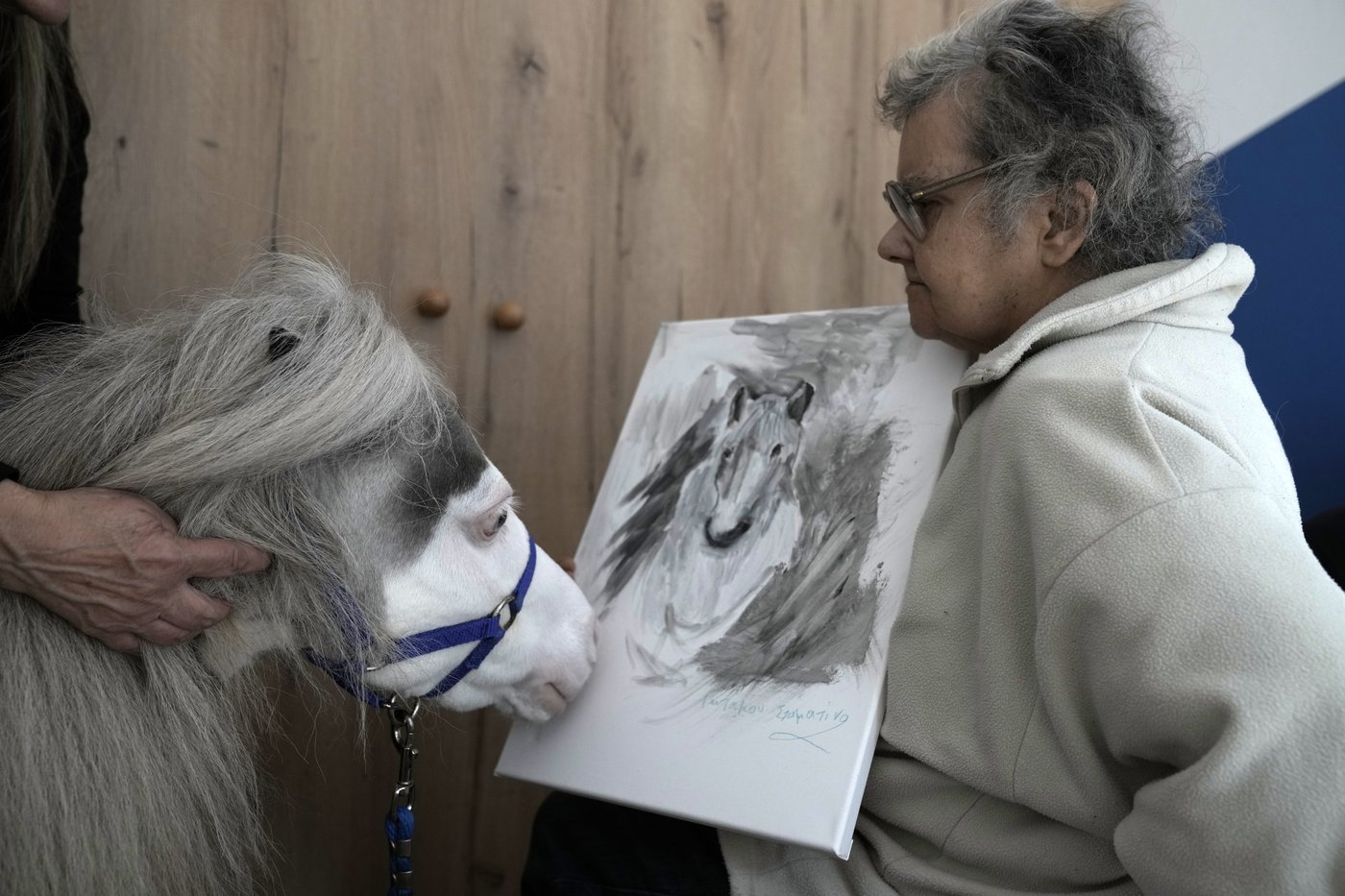 Greece's only miniature therapy horses bring joy to many, but their charity is struggling | iNFOnews.ca
