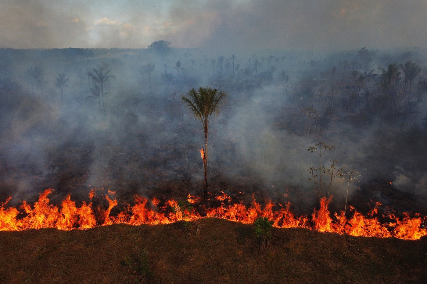 Indigenous, environmental groups warn far-right gains in Brazil’s Congress threaten protections | iNFOnews.ca
