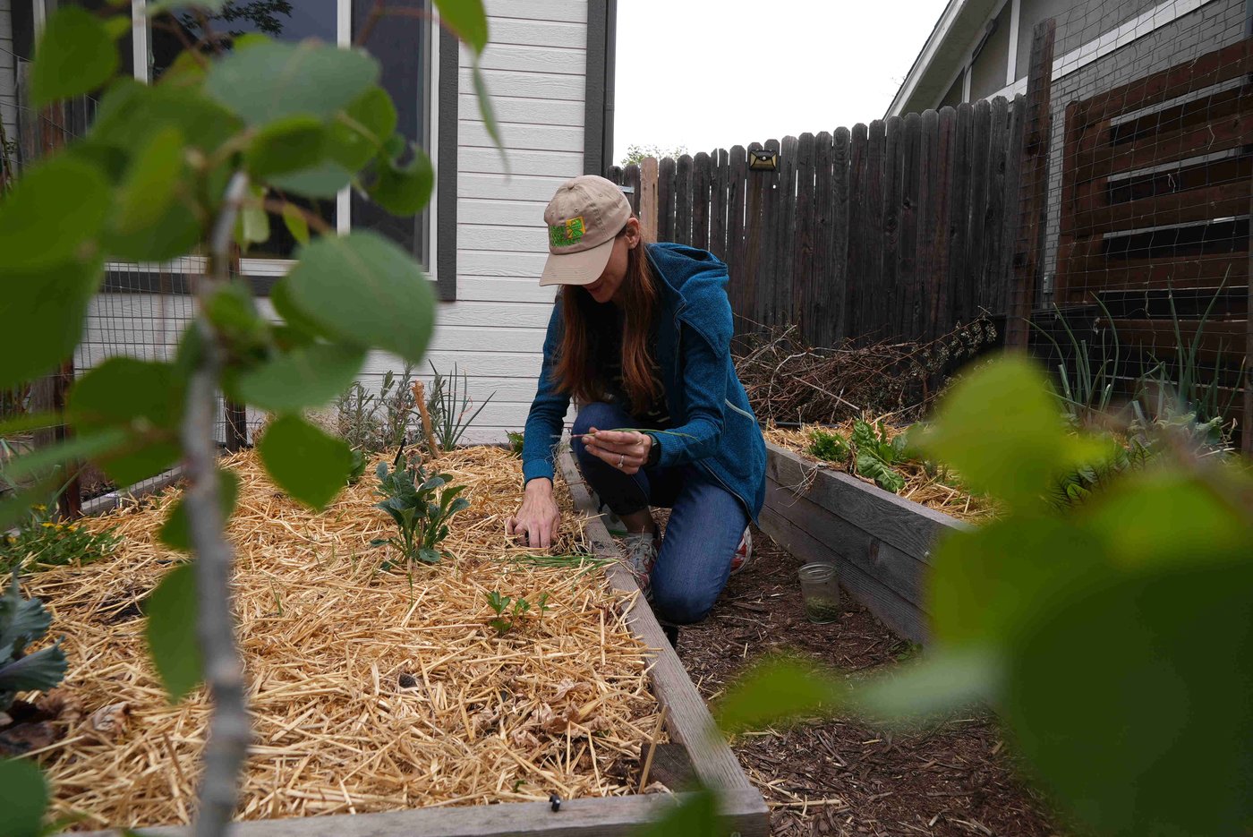 Here's how to grow your own food with less water, even in a drought | iNFOnews.ca