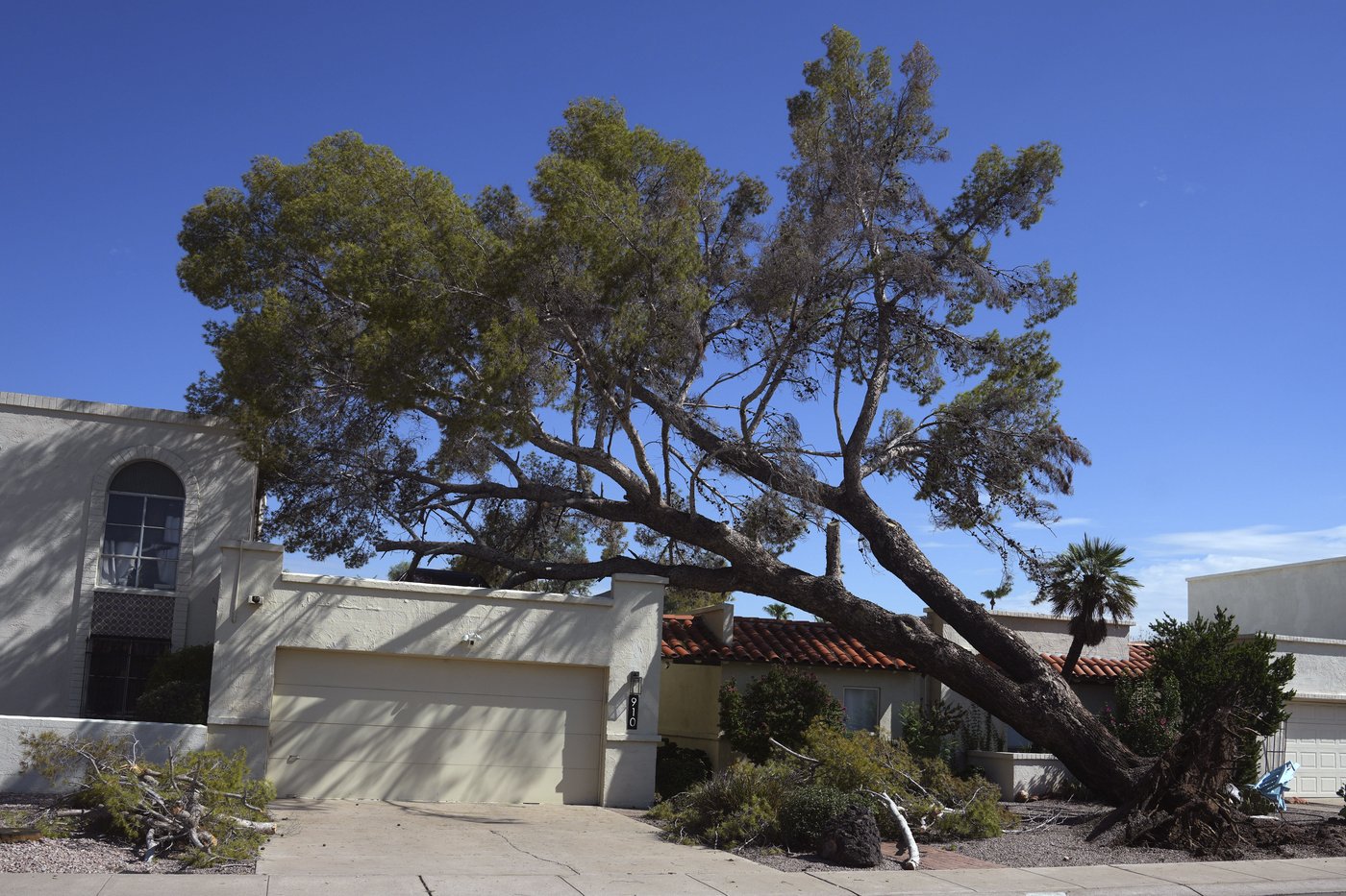 After fearsome dust storm rips Phoenix area, trees cleaned up and power restored | iNFOnews.ca
