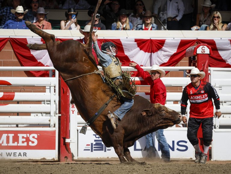 Texans dominate Calgary Stampede rodeo finals taking four of seven events | iNFOnews.ca