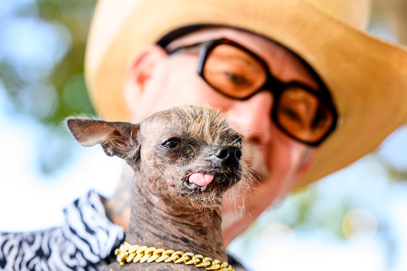 Photos show the World’s Ugliest Dog Contest in California | iNFOnews.ca