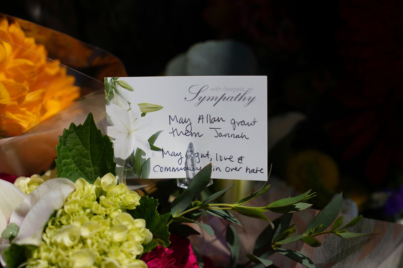 Lawyer says prosecutors haven't offered details of teen's alleged ties to San Diego mosque shooters | iNFOnews.ca