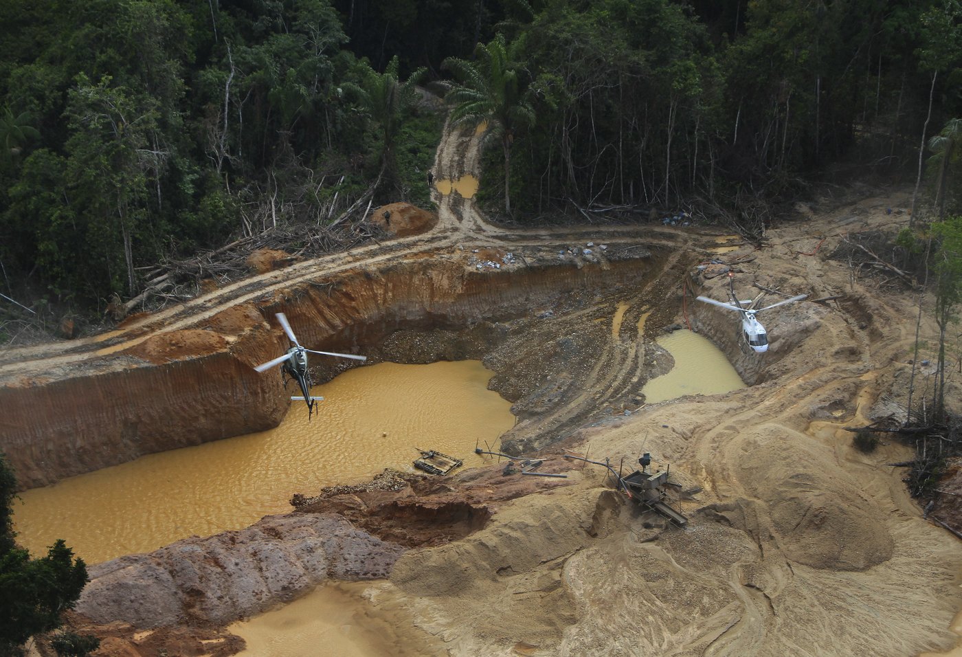 'Leo will follow Francis.' Amazon Catholics hope the new pope will protect the rain forest | iNFOnews.ca