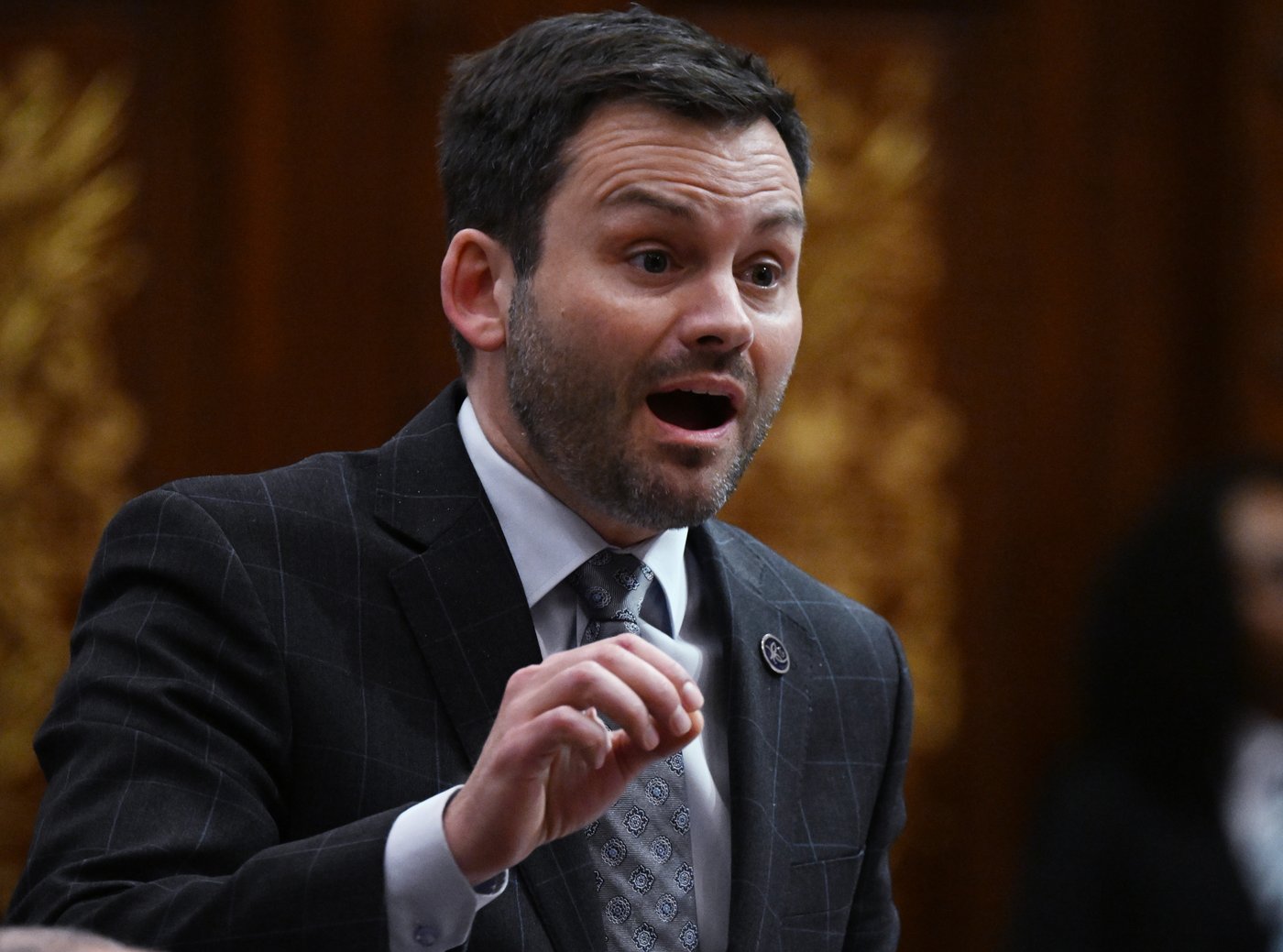 Montreal man pleads guilty to making death threats against Parti Québécois leader | iNFOnews.ca