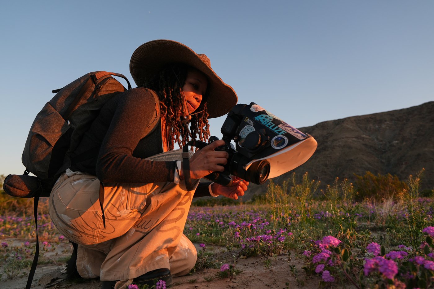 A California photographer is on a quest to photograph hundreds of native bees | iNFOnews.ca