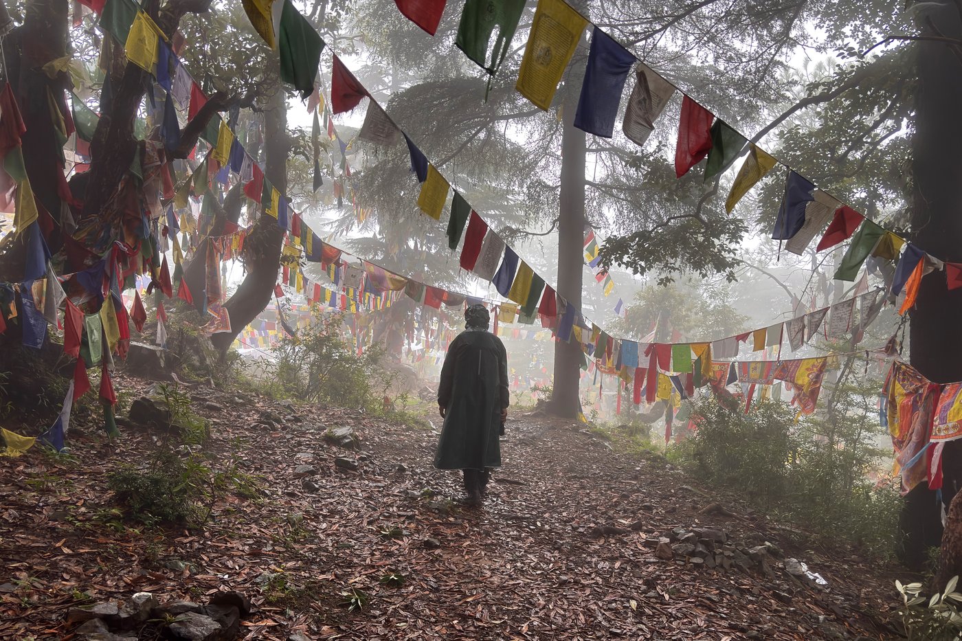 The top photos of the day by AP photojournalists | iNFOnews.ca