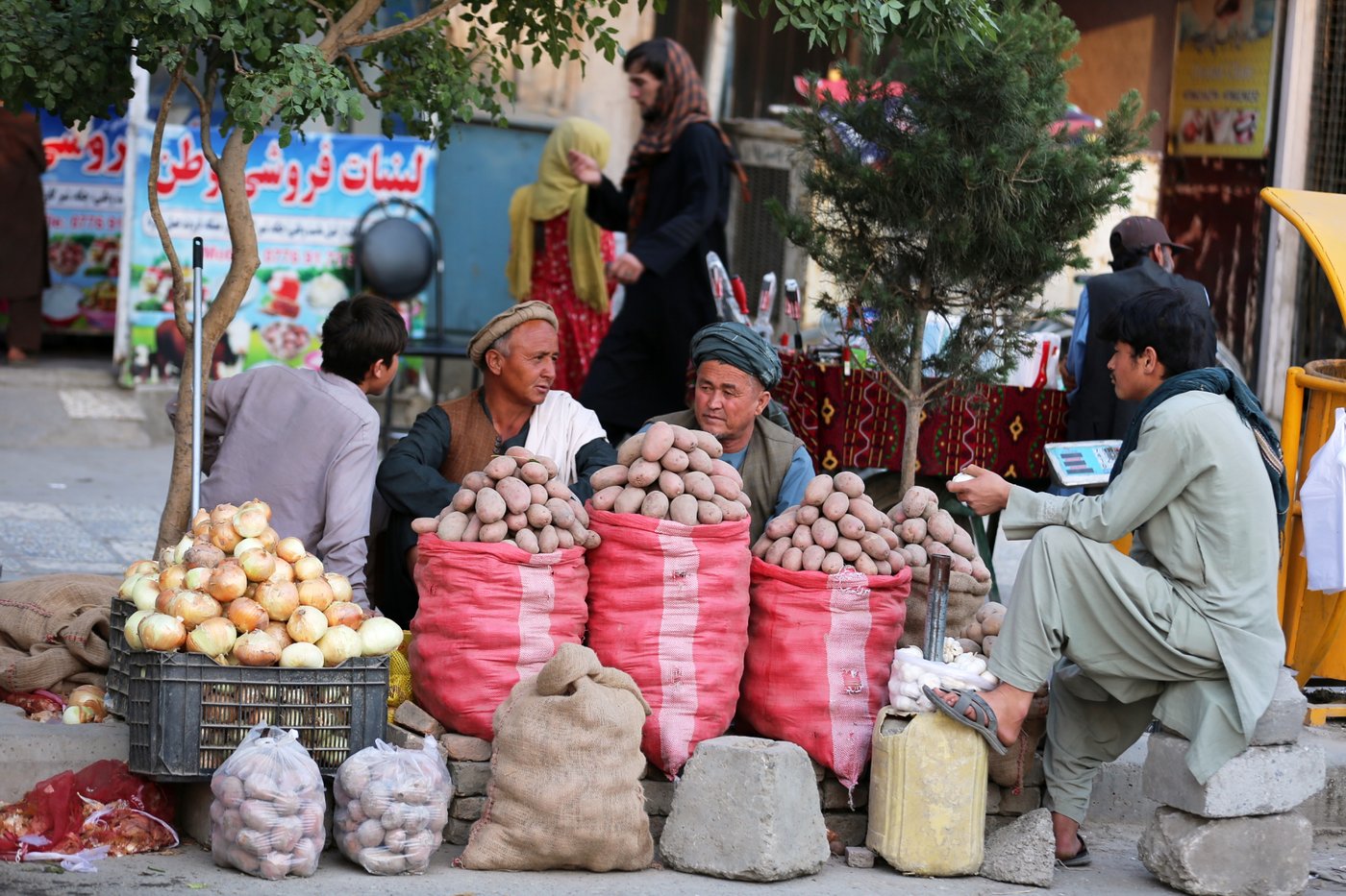 Strait of Hormuz closure chokes trade and aid for Afghanistan | iNFOnews.ca Strait of Hormuz closure chokes trade and aid for Afghanistan | iNFOnews.ca