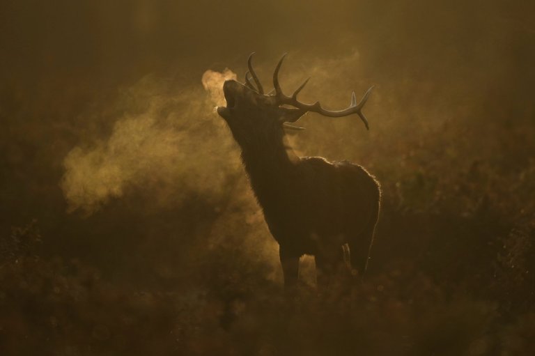 The top photos of the day by AP's photojournalists | iNFOnews.ca The top photos of the day by AP's photojournalists | iNFOnews.ca