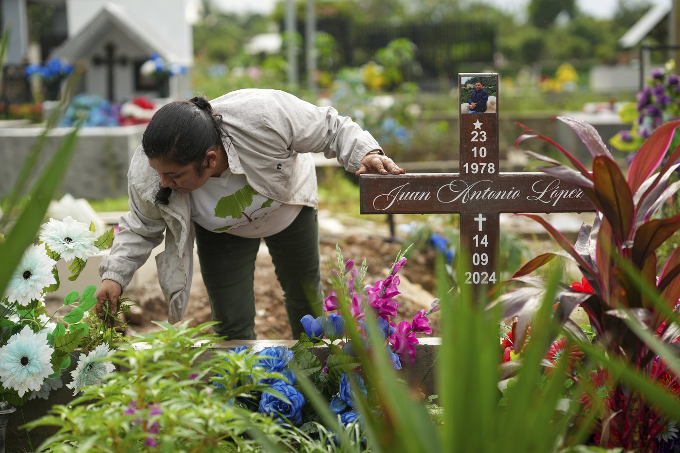 He fought to save jungles in Honduras. Now his killing haunts environmental defenders | iNFOnews.ca