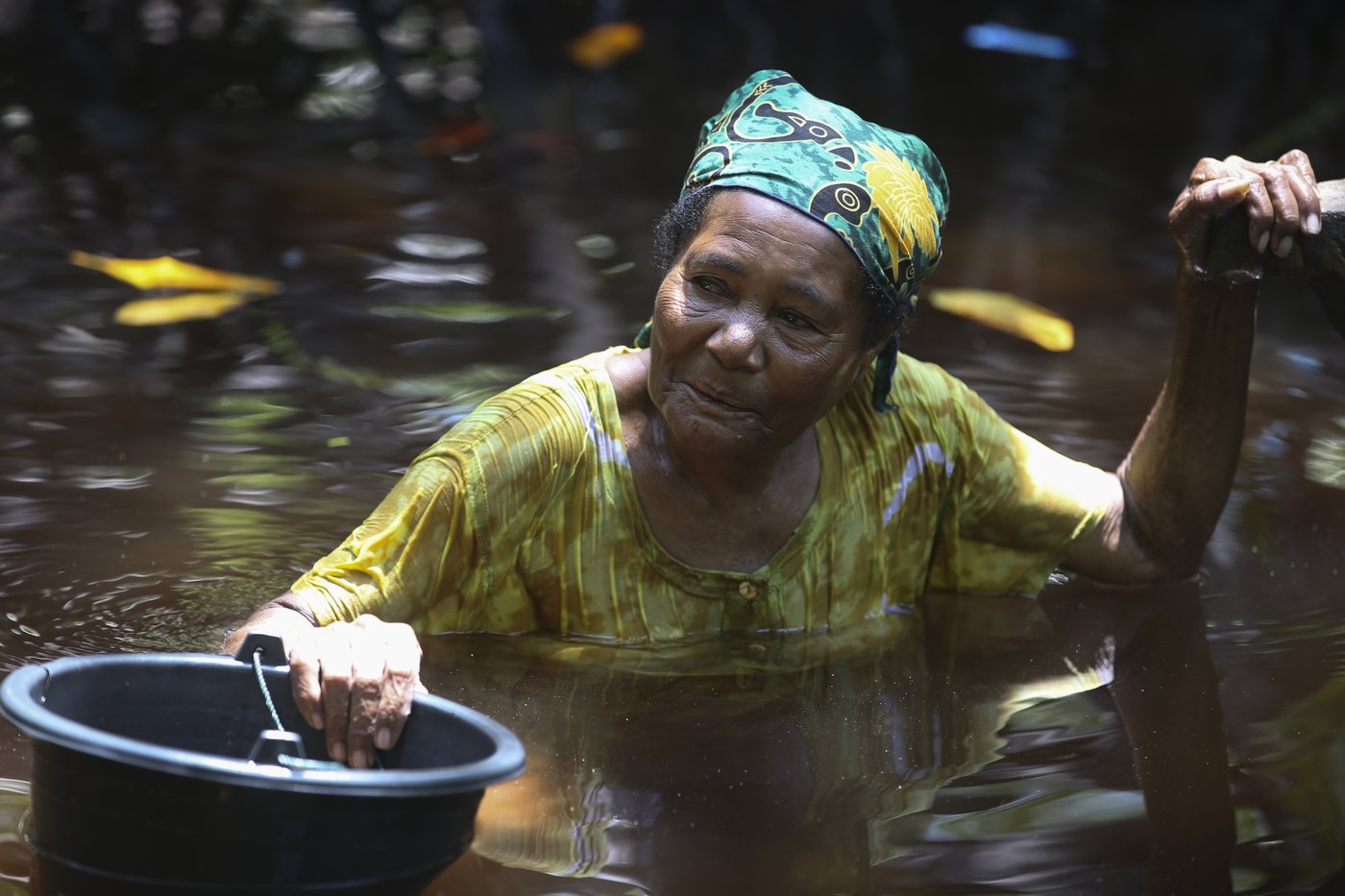 Papuan women's mangrove forest in Indonesia is increasingly threatened by development and pollution | iNFOnews.ca Papuan women's mangrove forest in Indonesia is increasingly threatened by development and pollution | iNFOnews.ca