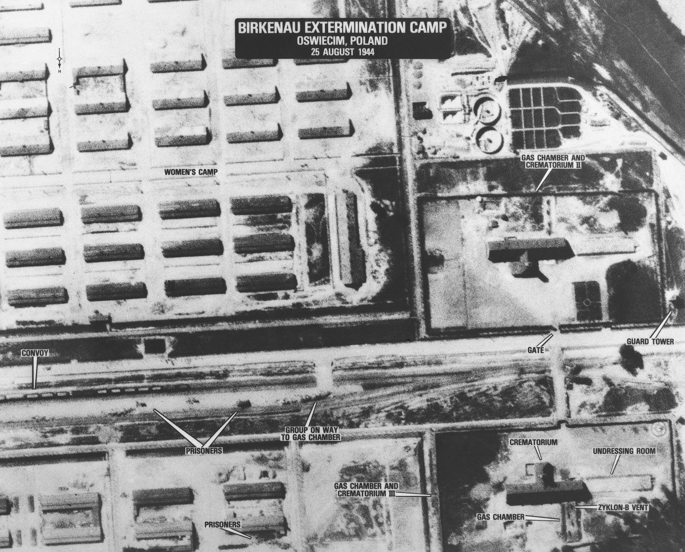 Auschwitz was liberated 80 years ago. The spotlight is on survivors as their numbers dwindle | iNFOnews.ca