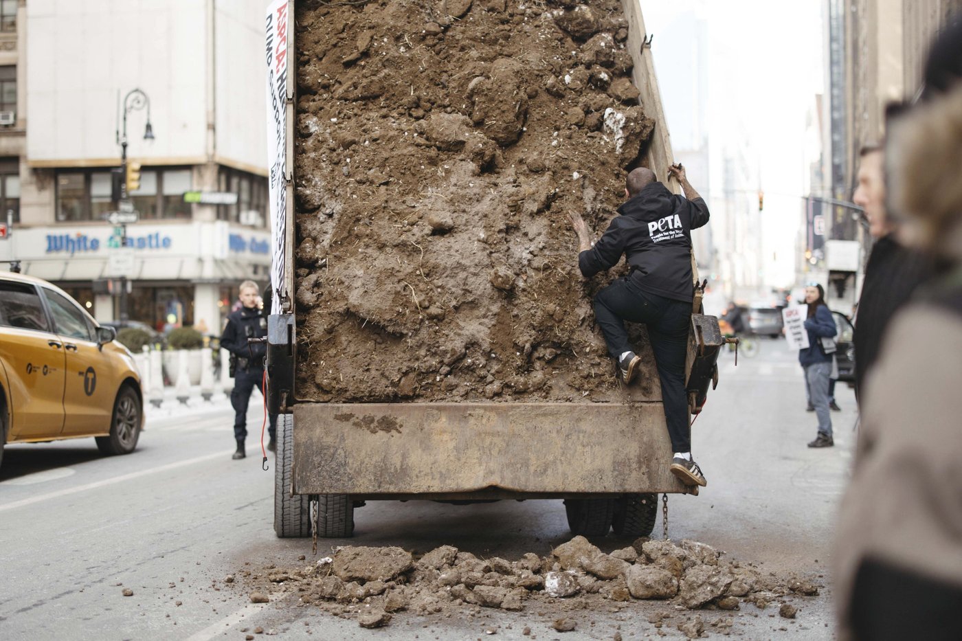 PETA activists arrested after trying to dump frozen manure outside rival group's office | iNFOnews.ca