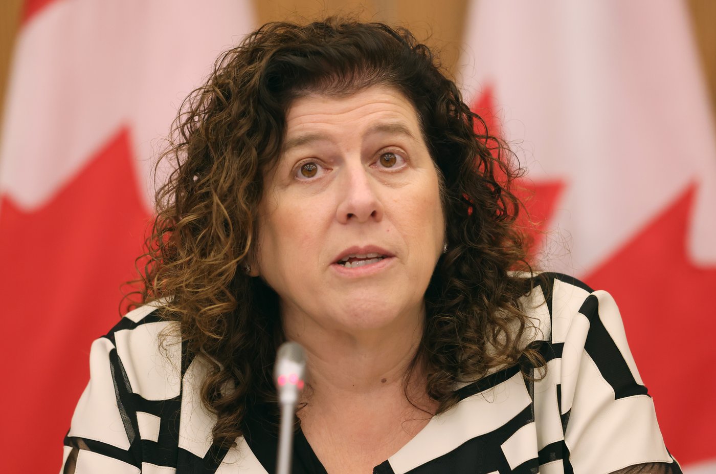 You 'wouldn't want to live in' decrepit military housing, auditor general says | iNFOnews.ca