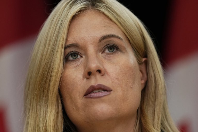 Conservatives call for cuts to permanent residency admissions in immigration plan | iNFOnews.ca