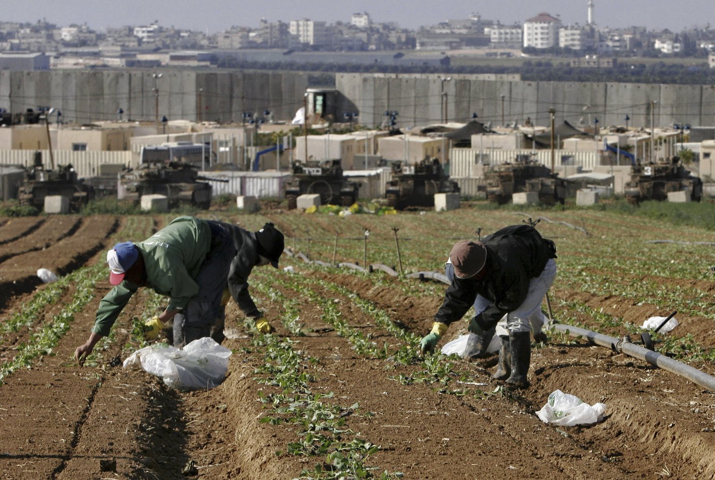Why were so many Thai farmers among the hostages held by Hamas? | iNFOnews.ca Why were so many Thai farmers among the hostages held by Hamas? | iNFOnews.ca