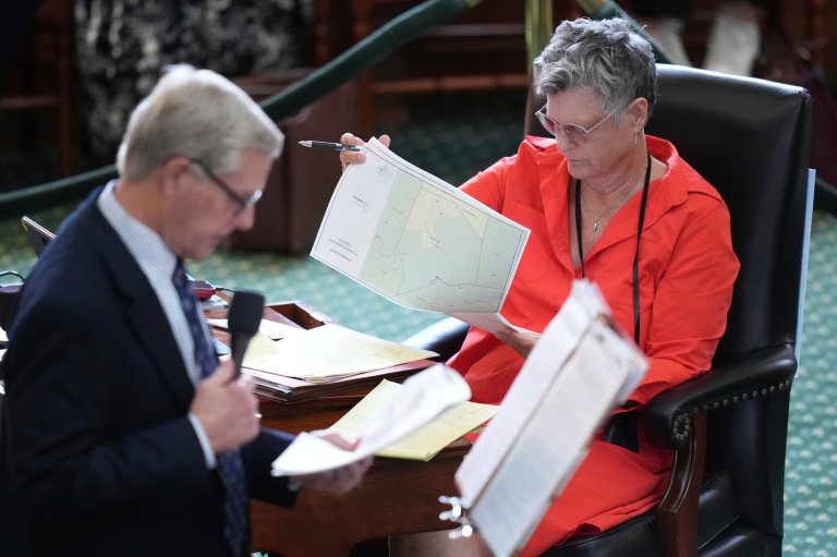 Texas' redrawn US House map that boosts GOP begins a key court test | iNFOnews.ca