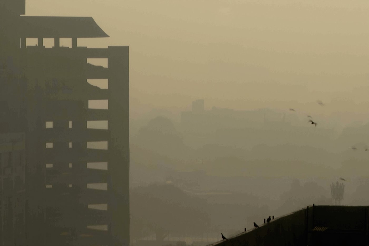 Use of smoke-emitting firecrackers renews air pollution debate in India's capital ahead of Diwali | iNFOnews.ca Use of smoke-emitting firecrackers renews air pollution debate in India's capital ahead of Diwali | iNFOnews.ca