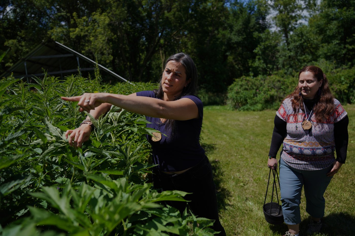 For these Midwest farmers, regenerative agriculture is about more than soil health. It's spiritual | iNwine For these Midwest farmers, regenerative agriculture is about more than soil health. It's spiritual | iNwine