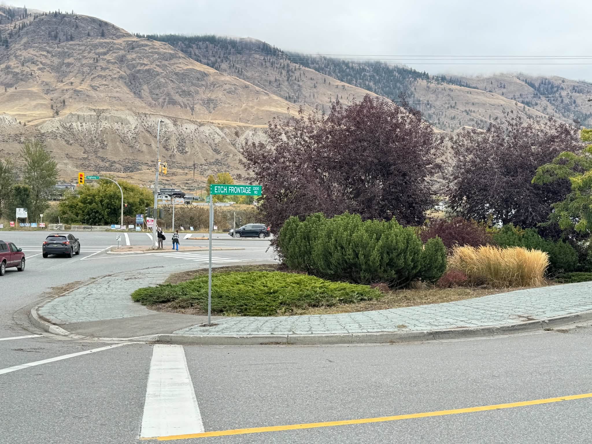 Kamloops neighbourhood takes action on neglected roadside weeds | iNwheels Kamloops neighbourhood takes action on neglected roadside weeds | iNwheels