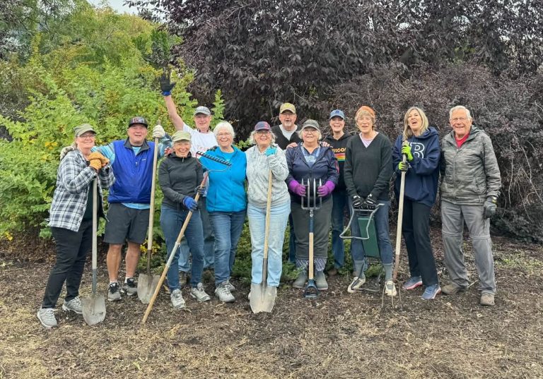 Kamloops neighbourhood takes action on neglected roadside weeds | iNFOnews.ca