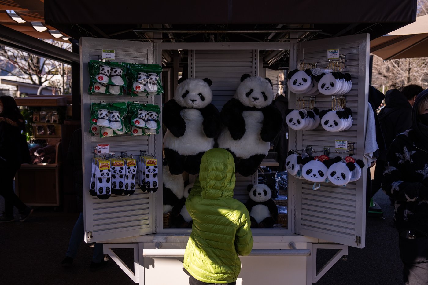 Photos shows Japan's love of pandas as twins Xiao Xiao and Lei Lei return to China | iNFOnews.ca