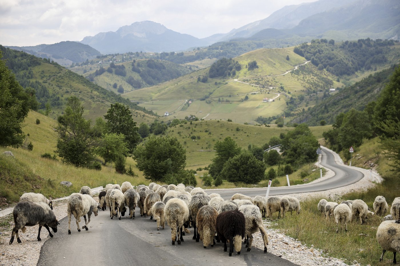 Bosnia's mountain resorts pivot to summer tourism as climate changes | iNFOnews.ca