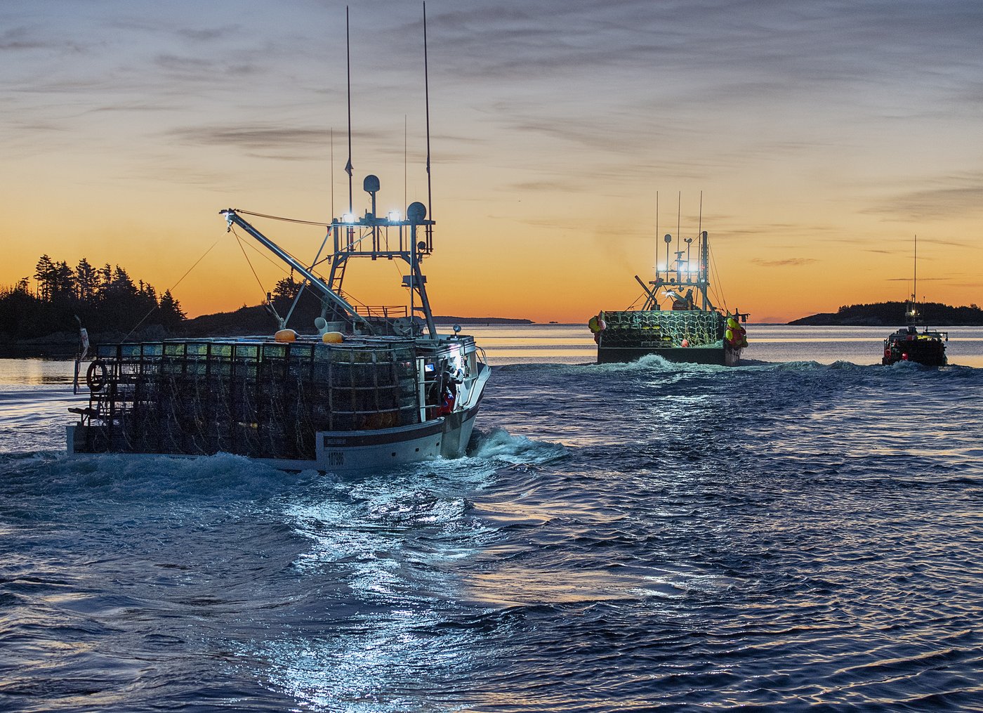 Nova Scotia lobster industry surprised, elated by suspension of Chinese tariff | iNFOnews.ca Nova Scotia lobster industry surprised, elated by suspension of Chinese tariff | iNFOnews.ca