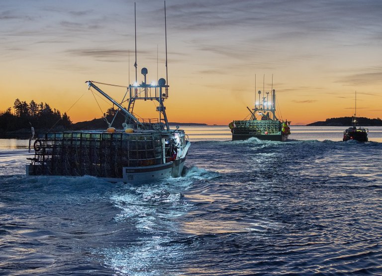 Nova Scotia lobster industry surprised, elated by suspension of Chinese tariff | iNFOnews.ca
