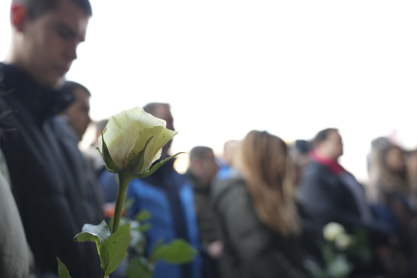 Serbian court convicts the parents of a teenage boy who shot dead 10 people in a school in Belgrade | iNFOnews.ca Serbian court convicts the parents of a teenage boy who shot dead 10 people in a school in Belgrade | iNFOnews.ca