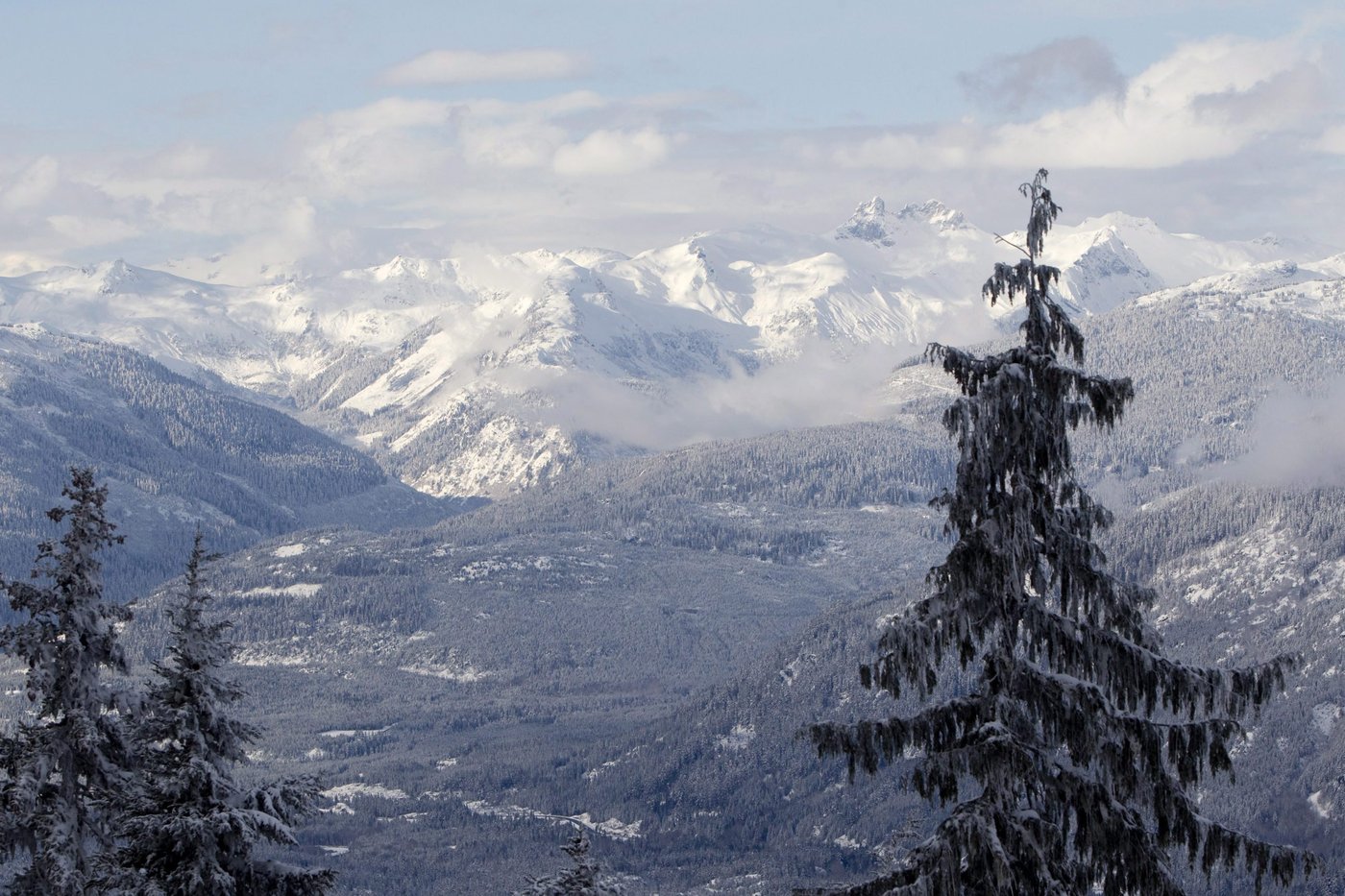 Man found dead on B.C.'s Whistler Mountain a week after going missing | iNFOnews.ca