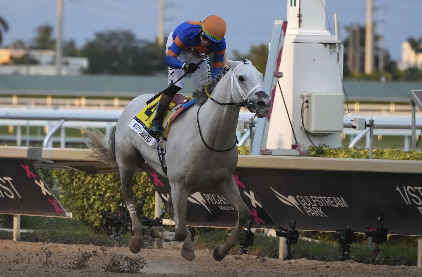 White Abarrio wins $3 million Pegasus World Cup with dominant performance at Gulfstream | iNFOnews.ca