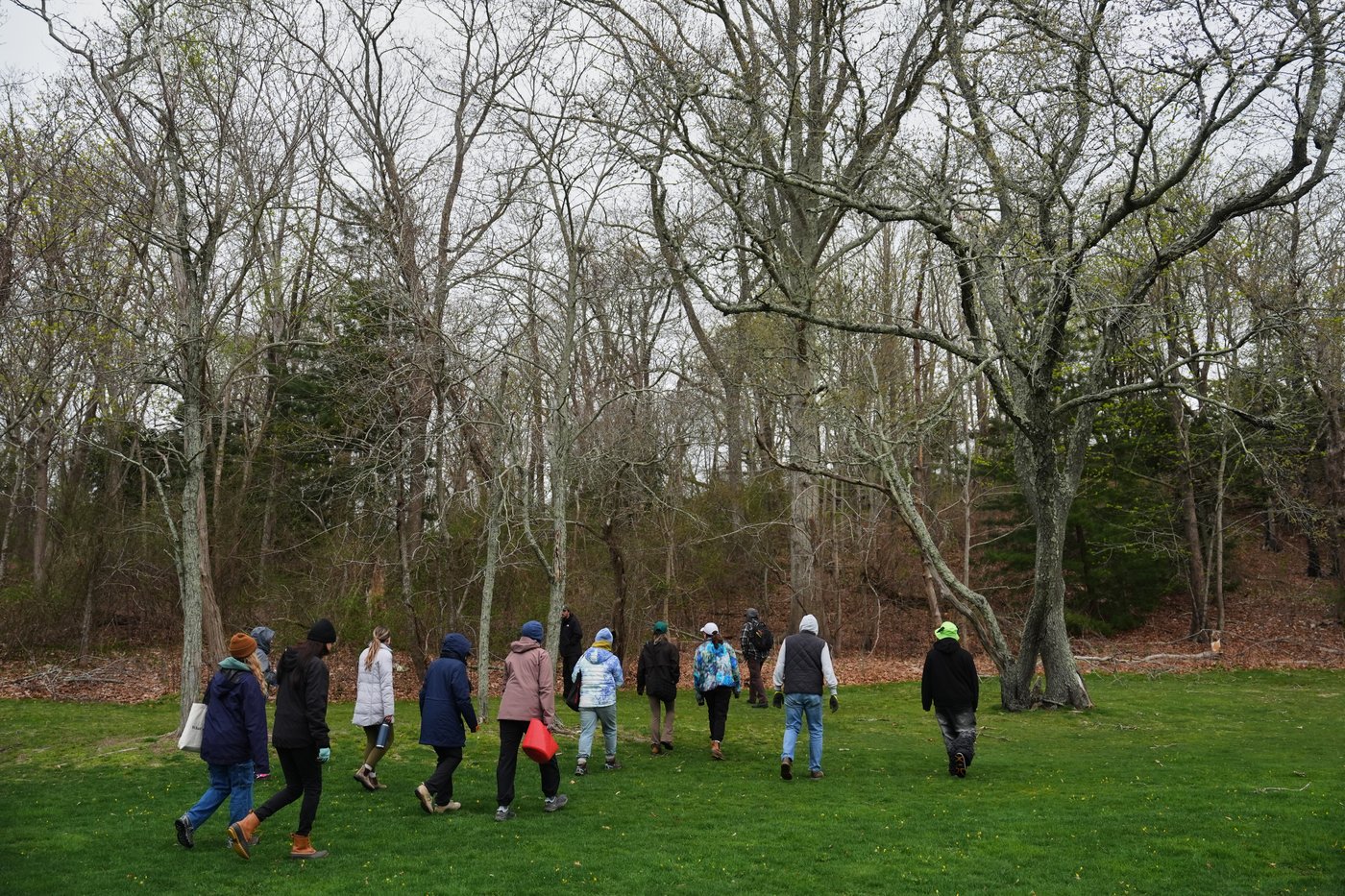 Trees are magic. In Newport, volunteers are working to expand their healthy reach | iNFOnews.ca
