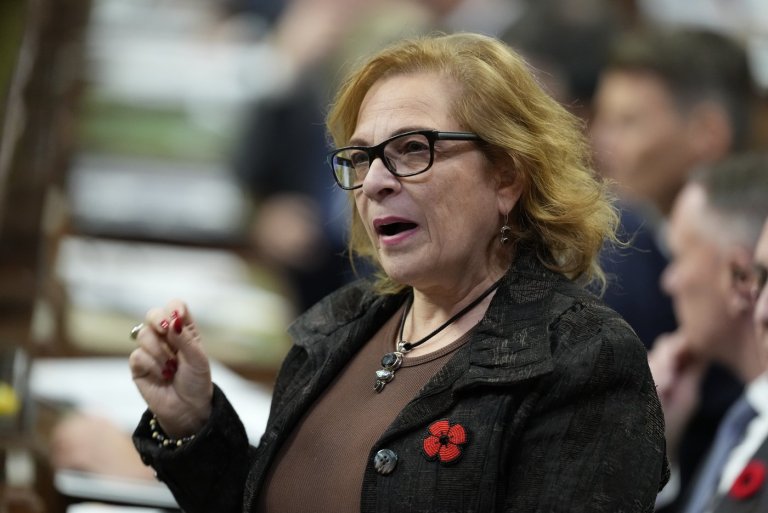 Ottawa introduces new fines for bogus, unlicensed immigration and citizenship advice | iNFOnews.ca