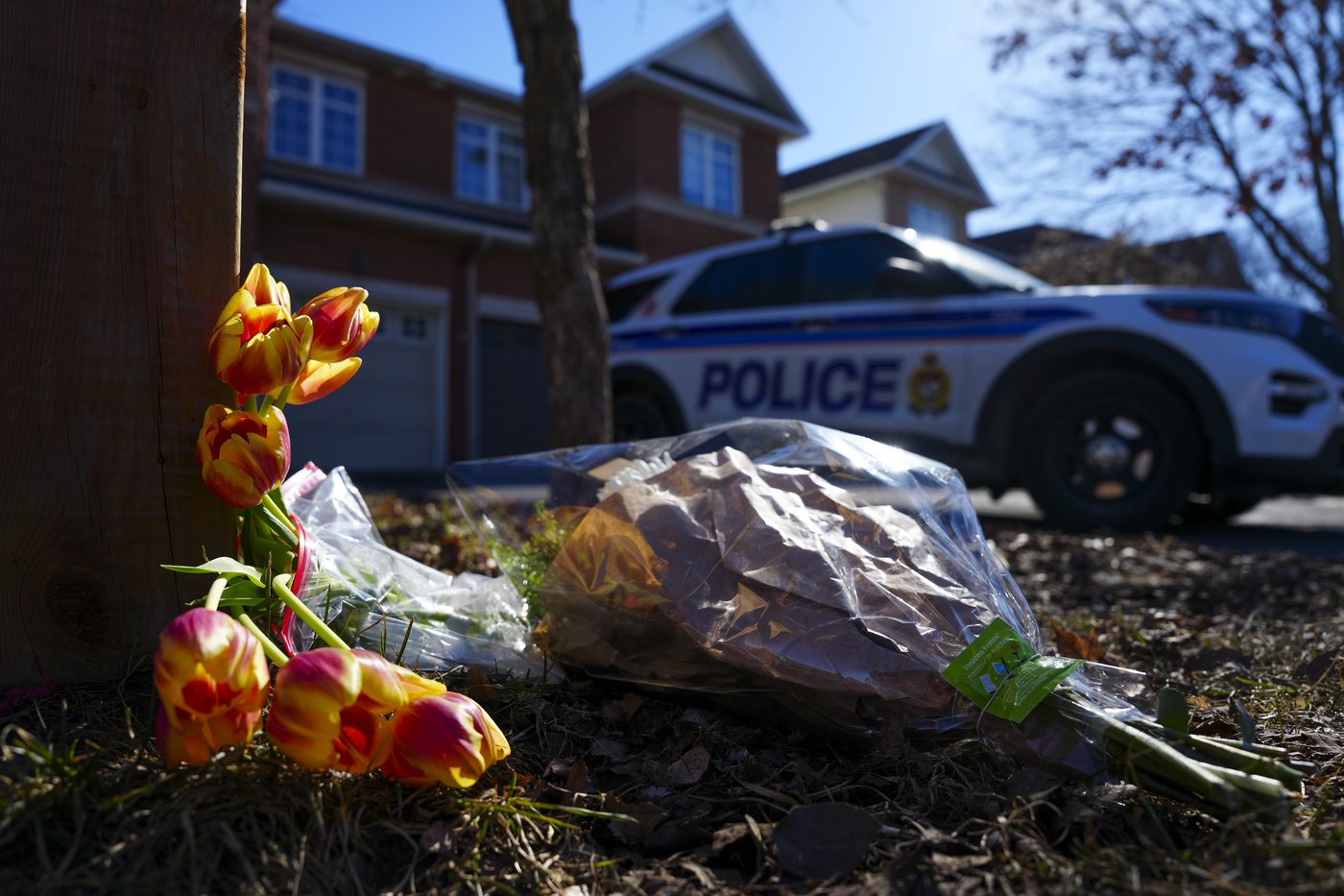 'The stuff of nightmares': Judge hands man life sentence for murder of Ottawa family | iNFOnews.ca