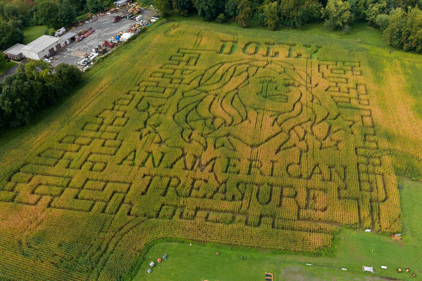 Aw shucks: Dolly Parton corn mazes crop up in fields nationwide | iNFOnews.ca Aw shucks: Dolly Parton corn mazes crop up in fields nationwide | iNFOnews.ca