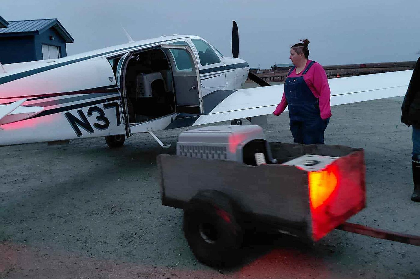 The other Alaska airlift: Volunteers save dogs from a flooded Alaska village, 1 tiny plane at a time | iNFOnews.ca