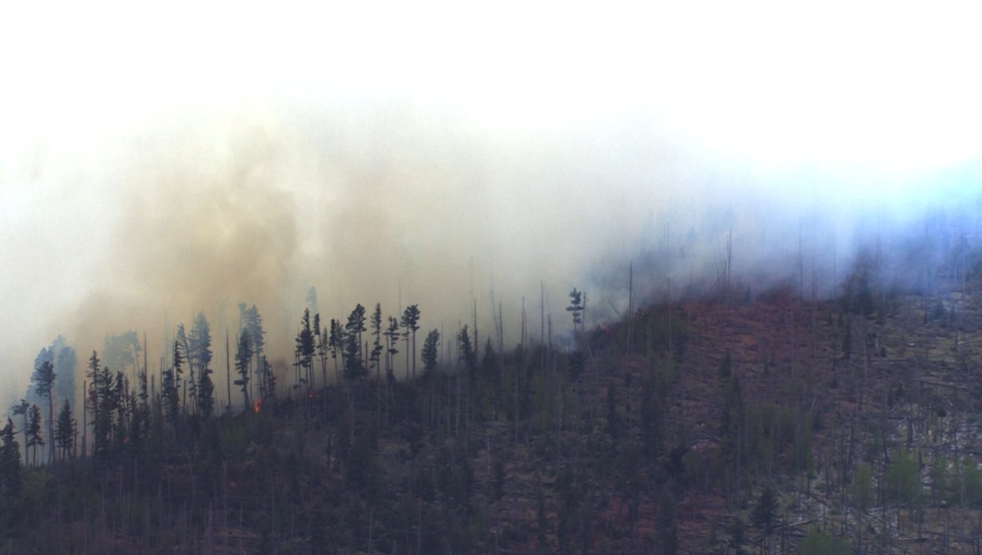 New Mexico wildfire sparked by fatal medical plane crash spreads quickly in rural area | iNFOnews.ca