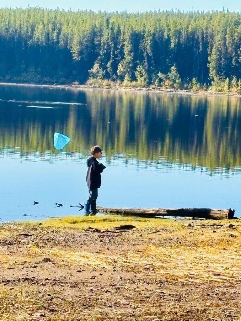 'Pretty stressful': Ambitious couple wrap up first year owning remote camp near West Kelowna | iNFOnews.ca 'Pretty stressful': Ambitious couple wrap up first year owning remote camp near West Kelowna | iNFOnews.ca
