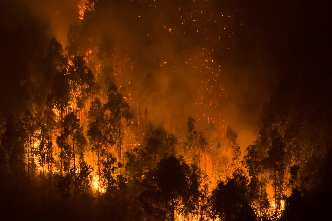 Photos show wildfires burning in Chile | iNFOnews.ca