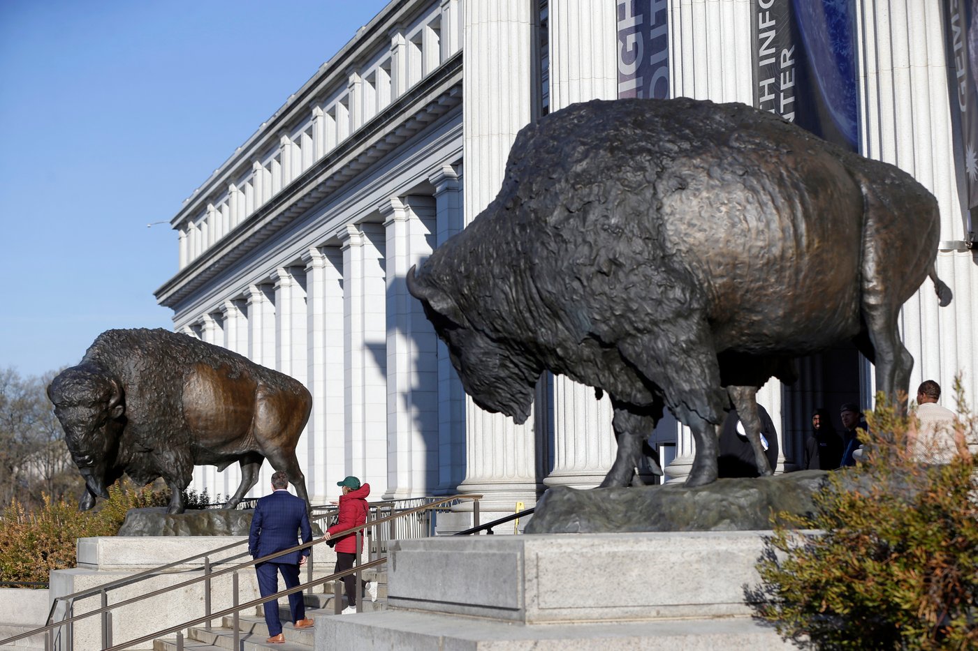 America's official mammal, the bison, gets a bronze tribute for the country's 250th birthday | iNFOnews.ca America's official mammal, the bison, gets a bronze tribute for the country's 250th birthday | iNFOnews.ca
