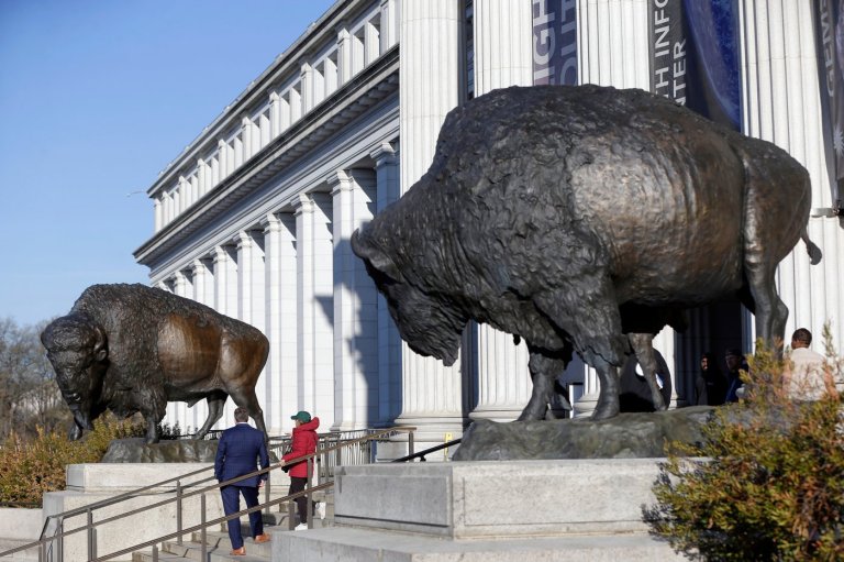America's official mammal, the bison, gets a bronze tribute for the country's 250th birthday | iNFOnews.ca