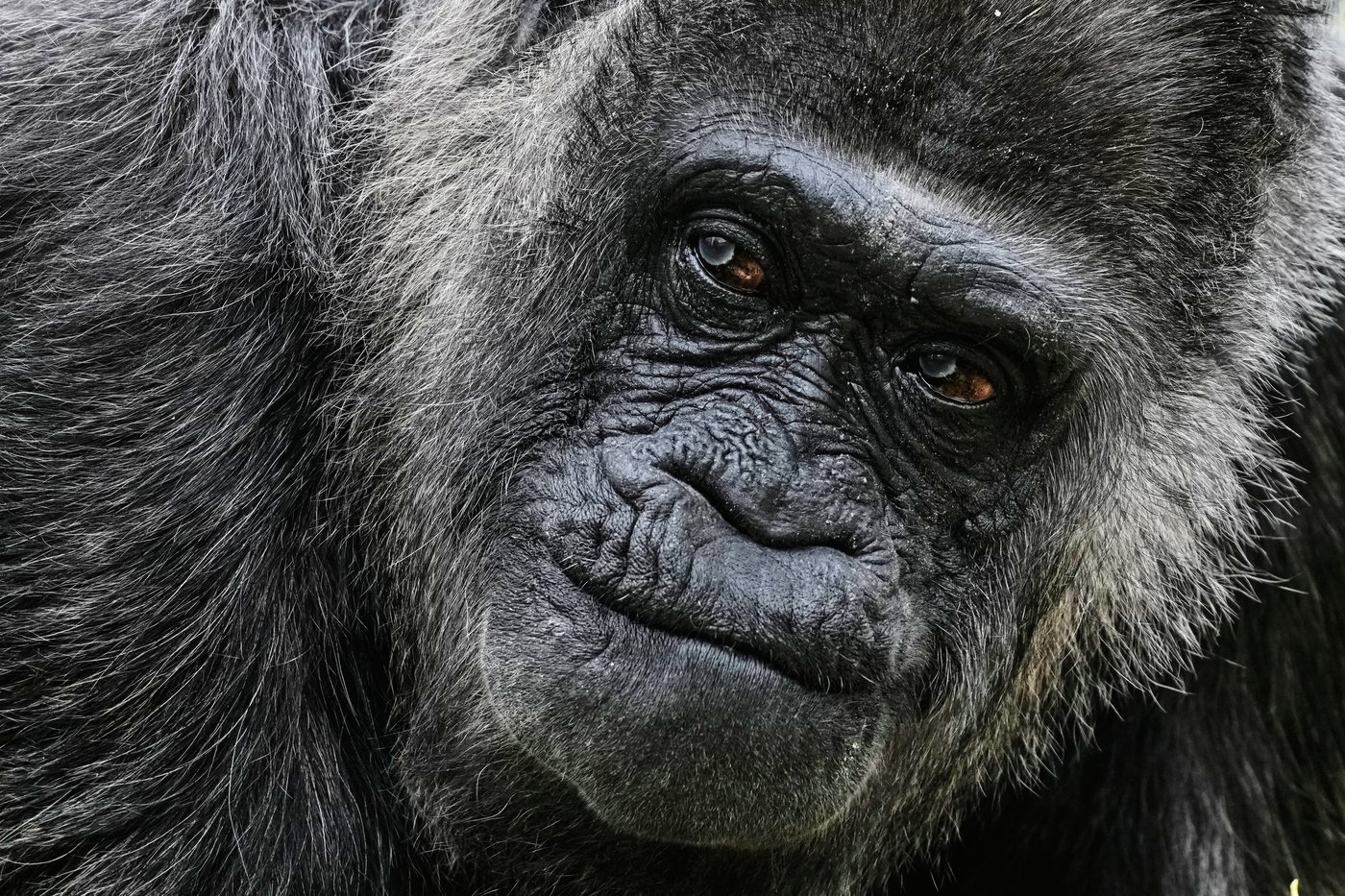 The top photos of the week by AP photojournalists | iNFOnews.ca